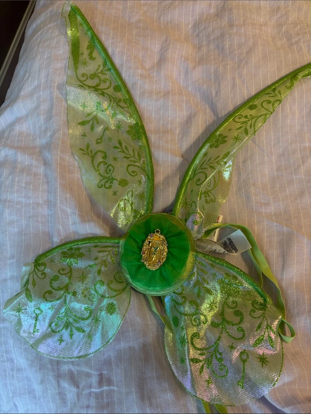 Disney Green Fairy Wings and Tulle Tutu Set